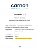 LABORATORIO CLÍNICO Y ANATOMÍA PATOLÓGICA