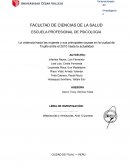 La violencia hacia las mujeres y sus principales causas en la ciudad de Trujillo entre el 2010 hasta la actualidad