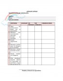 Pauta de observación y lista de cotejo