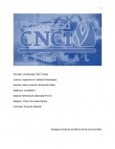 Proyecto modular de derecho mercantil