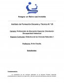 Hongos: un Reino casi Invisible