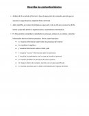 Comandos basicos de Linux