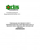Programa de producción y exportación de café organico en la region Chol - Tzeltal del estado de Chiapas