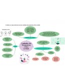 Pensamiento Crítico vs Creativo