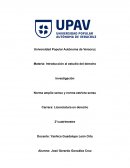 Norma amplio sensu y norma estricta sensu