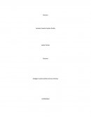 ¿Qué oportunidades laborales hay en el amazonas para los jóvenes?