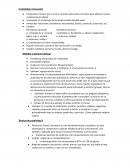 Creatividad e Innovación