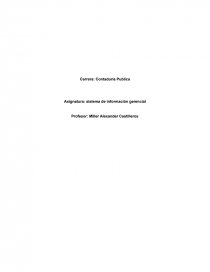 Implementación de aplicación informática empresarial. Página 1