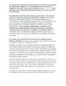 Ecología - ecosistema