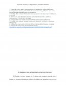 El sistema nervioso, su importancia, estructura funciones