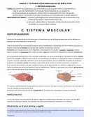 SISTEMAS DE LOCOMOCION EN LOS SERES VIVOS