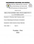 ORGANIZADORES DEL PENSAMIENTO Y LA INFORMACIÒN