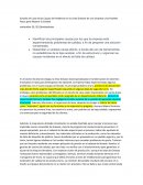 Estudio de Caso de las Causas de Problemas en la Línea Greasex de una Empresa y los Posibles Pasos para Mejorar la Calidad