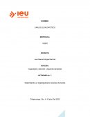 Describiendo un organigrama de recursos humanos. Capacitación, retención y desarrollo del talento