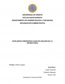 Analisis de la estructura organizacional de esteleiros horizontes