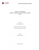 Taller 1. Caso practico Call You Services