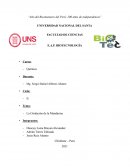 Oxidación de la mandarina