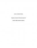 Implementación de aplicación informática empresarial