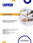 Ensayo en busca del fuego