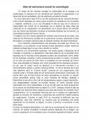 Idea de estructura social en sociología
