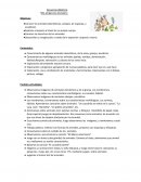 Secuencia didáctica: “Mis amigos los Animales”