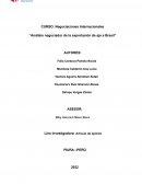 Análisis negociador de la exportación de ajo a Brasil