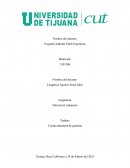 Cuenta aduanera en garantia