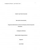 Investigación de Mercado – Caso Práctico