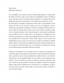 Redes sociales Idealización y doble vida