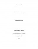 Programa: Fundamento de electricidad