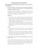 Caso Práctico: La Responsabilidad Social Corporativa y el Buen Gobierno en la legislación