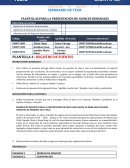 PLANTILLAS PARA LA PRESENTACIÓN DE AVANCES SEMANALES