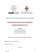 Análisis de la estructura corporativa y propuesta de ajustes de una organización
