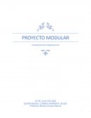 PROYECTO MODULAR Comportamiento Organizacional