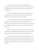 INFORMATIVO TUTORÍA