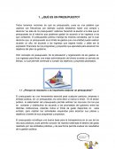 ¿Qué es un presupuesto?