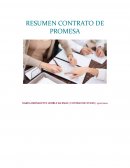 RESUMEN CONTRATO DE PROMESA