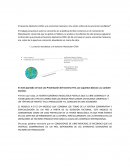 El teorema Heckscher-Ohlin y la economía mexicana. Una visión crítica de la economía neolibera