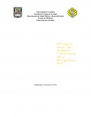 PROGRAMAS REGIONALES Y NACIONALES DE SALUD