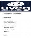 Inteligencia de mercados V1 AVANCE PROYECTO 3