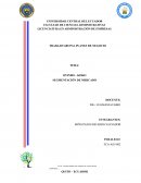 PLAN DE NEGOCIOS PARA UNA EMPRESA DE CHOCOALTE