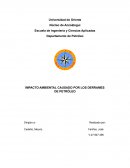 IMPACTO AMBIENTAL CAUSADO POR LOS DERRAMES DE PETRÓLEO