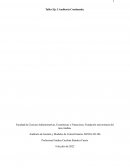 AUDITORIA CONTINUADA