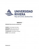 SEGURIDAD EN EL TRABAJO