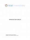 MANUFACTURA ESBELTA APLICADA A UNA LÍNEA DE PRODUCCIÓN GELATINAS