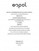 FACTORES DE LA MINERIA QUE AFECTAN LA SOSTENIBILIDAD