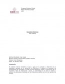 Caso practico MailChimp