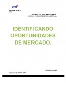 IDENTIFICANDO OPORTUNIDADES DE MERCADO