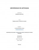 IMPORTANCIA DE UN AMEF Y COMO SE APLICA PARA EL PROCESO DE TUTORIAS VIRTUALES