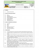 PROCEDIMIENTO ESCRITO DE TRABAJO SEGURO